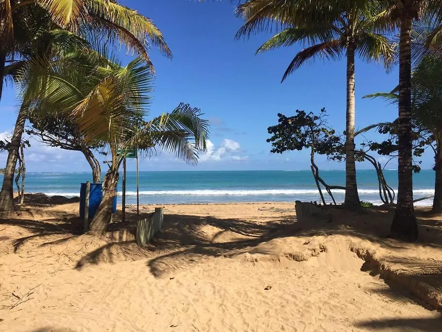 Beachfront Apartment With Stunning Ocean Views Rio Grande 0*,