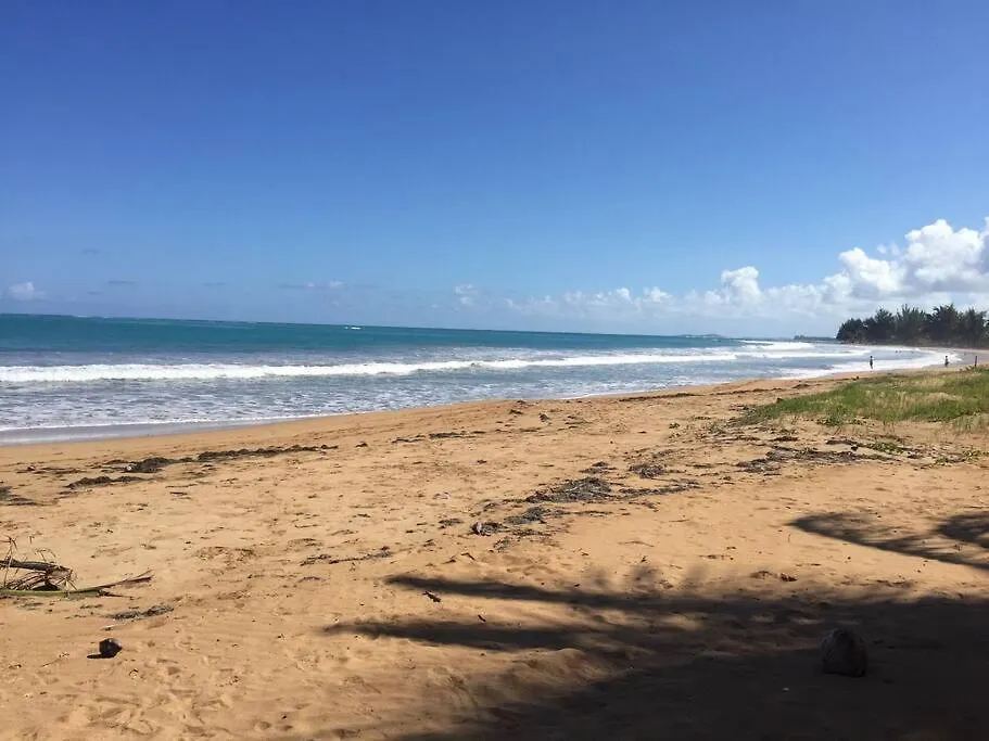 Beachfront Apartment With Stunning Ocean Views Rio Grande Puerto Rico