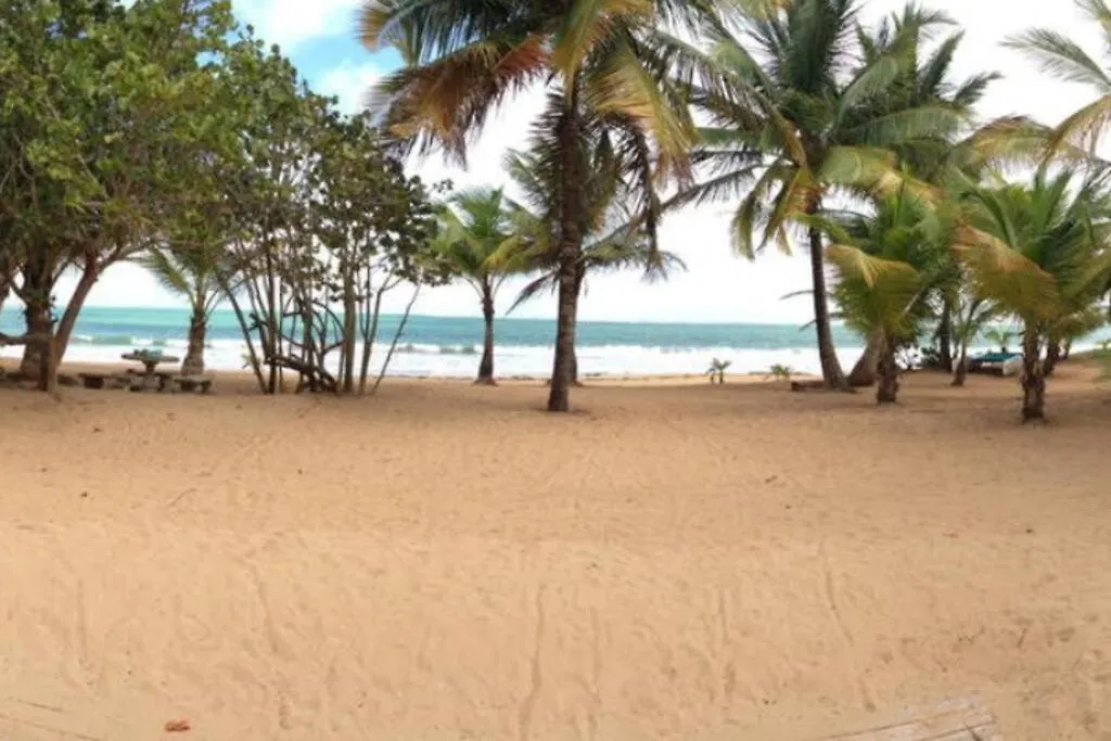 Beachfront Apartment With Stunning Ocean Views Rio Grande