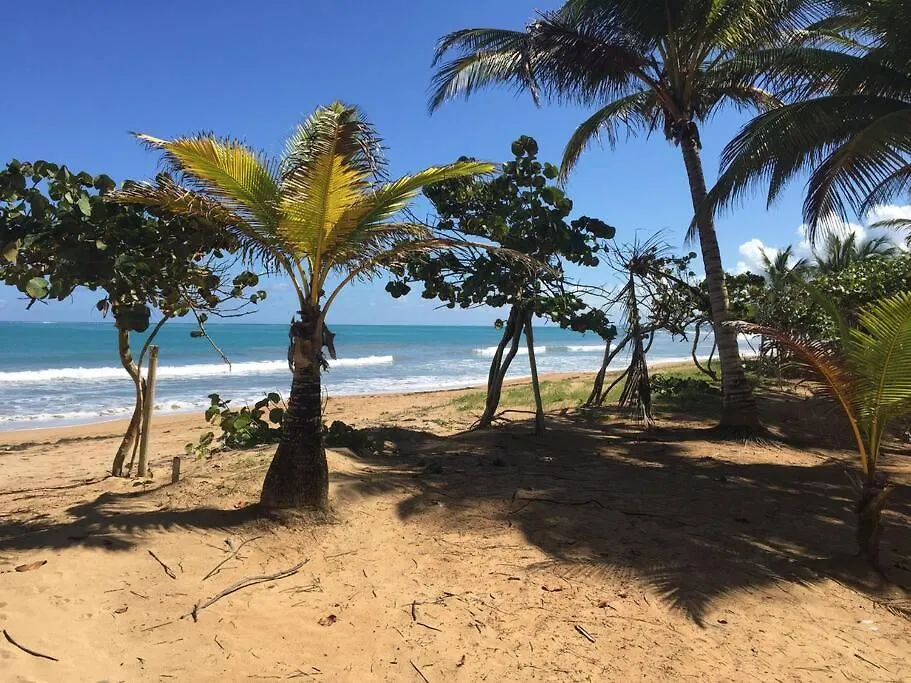 Beachfront Apartment With Stunning Ocean Views Rio Grande