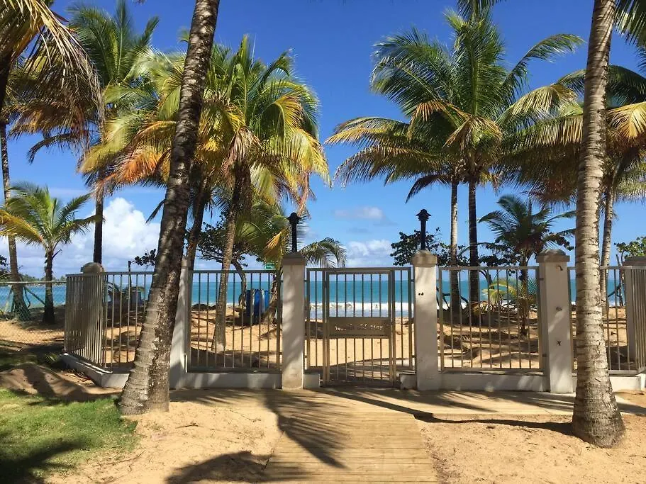 Beachfront Apartment With Stunning Ocean Views Rio Grande Puerto Rico